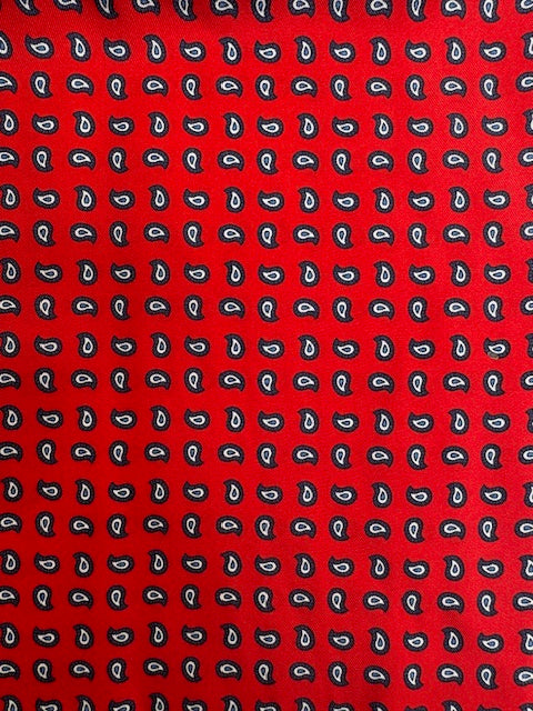 Ascot Cotton Park rouge et motifs cachemire