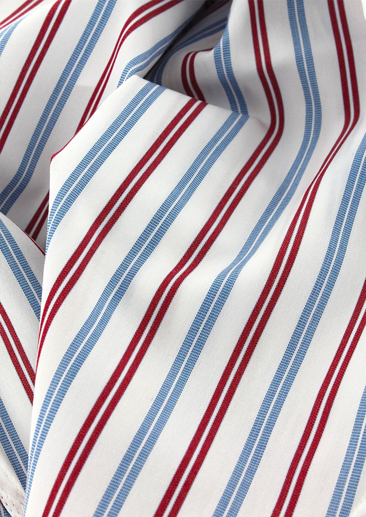 Chemise Business Rayures Rouges Chemise à rayures rouges et bleues double retors | Cotton Park